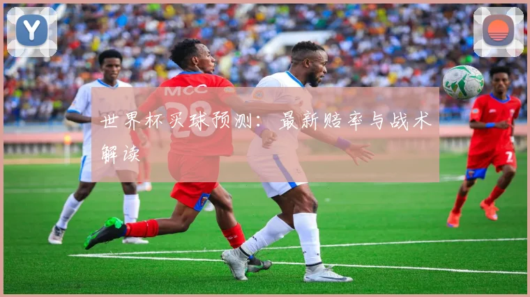 世界杯买球预测:最新赔率与战术解读
