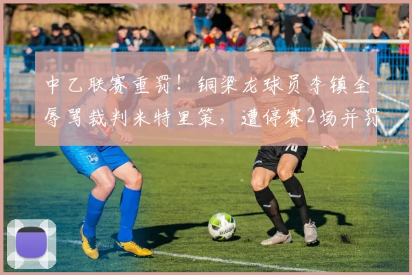 中乙联赛重罚!铜梁龙球员李镇全辱骂裁判米特里策,遭停赛2场并罚款2万元详细解读