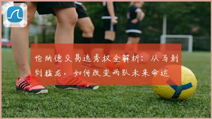 伦纳德交易选秀权全解析：从马刺到猛龙，如何改变两队未来命运