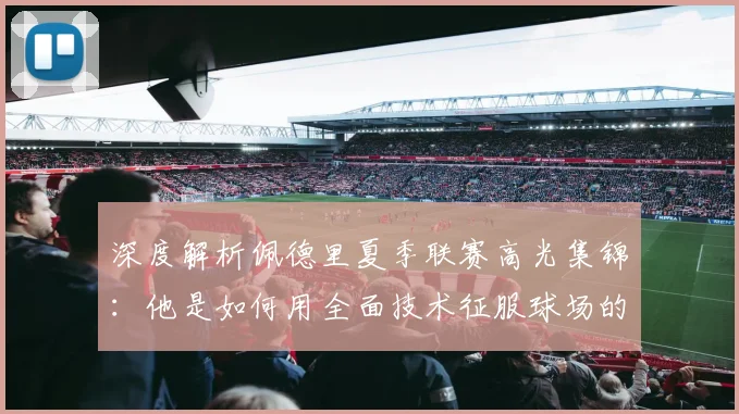 深度解析佩德里夏季联赛高光集锦：他是如何用全面技术征服球场的？
